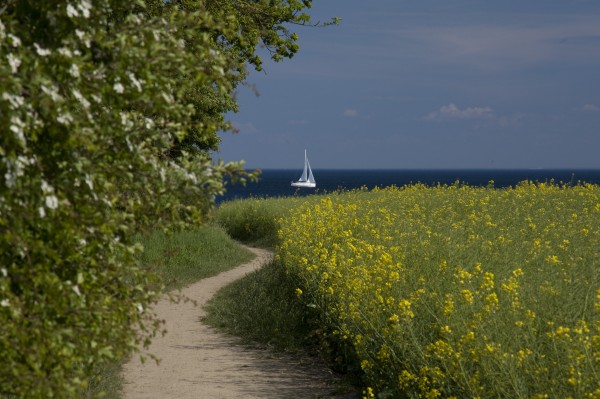 fehmarn - (c) m mueller.jpg